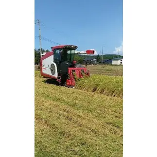 先行予約 令和8年 新潟県産コシヒカリ 【アイガモ農法】 JAS有機発芽玄米 3kg（ 1kg×3袋 ） 上越市 三和区 富永農産