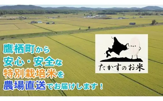 【 令和7年産 】 ななつぼし （ 精白米 ） 北海道 米 定番の品種 5kg 北海道 鷹栖町 たかすのお米 コメ こめ ご飯