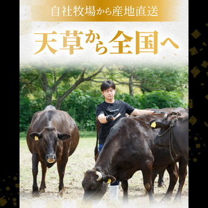 S001-002_天草産 黒毛和牛 A5等級 特選サーロインステーキ 3枚入　/ 黒毛和牛 A5 特選 サーロイン ステーキ