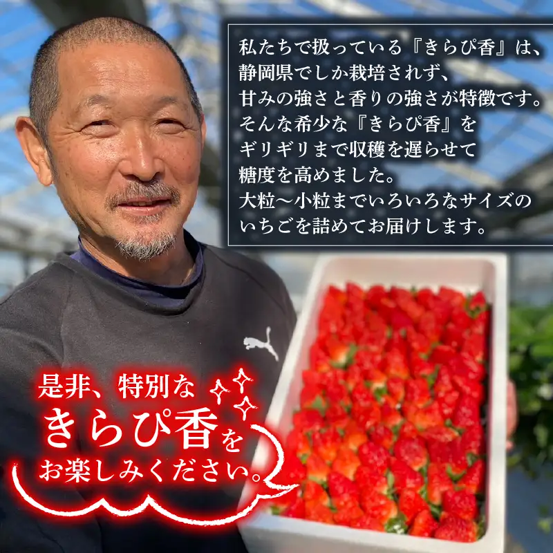 冷凍いちご いちご きらぴ香 1kg 苺 【冷凍いちご】 鈴木農園