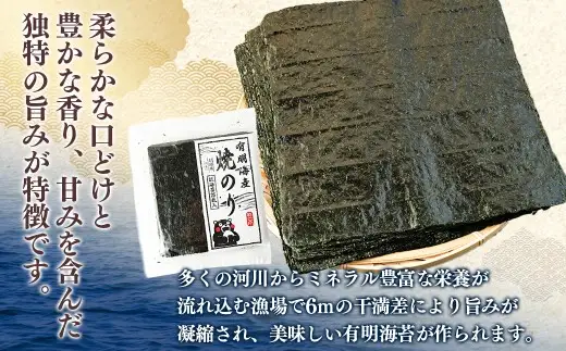 【12ヶ月定期便】 熊本有明産焼のり 50枚（25枚×2袋）（訳あり・全形） 栄養 のり ノリ 海苔 乾物 熊本県産 国産 焼きのり 有明海苔 香り 甘み 独特 ミネラル 旨み 定期 定期便