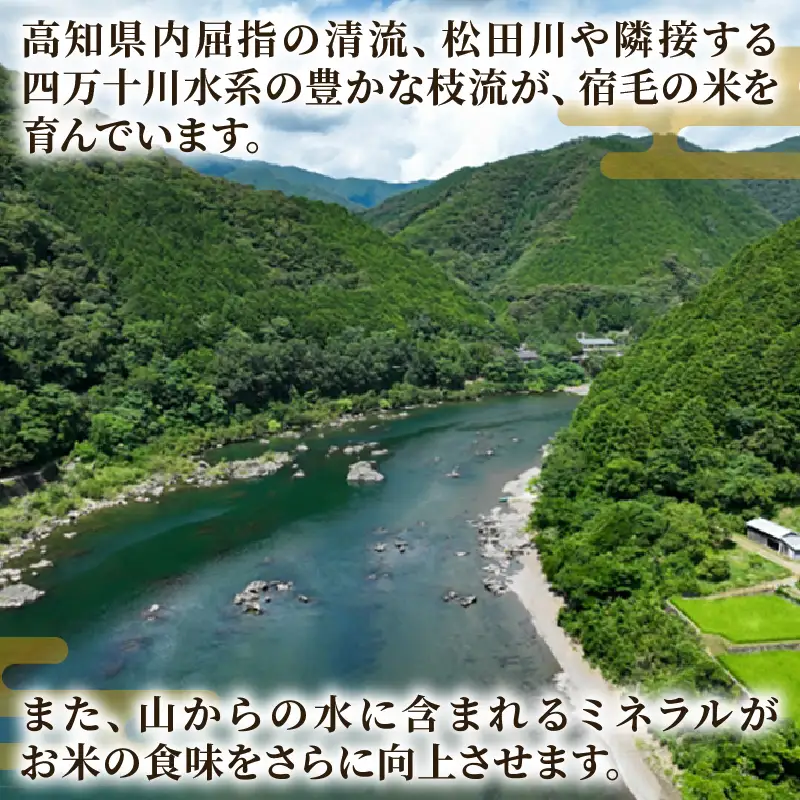 【先行受付】令和8年産 米 5kg よさ恋美人 新米 