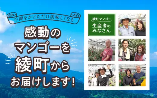 【訳あり】完熟マンゴー 2L×5玉（パック）【濃厚 高級 宮崎 果物 フルーツ 贈答 ギフト 甘い 先行受付 送料無料】【JA綾町】_A0114-1081
