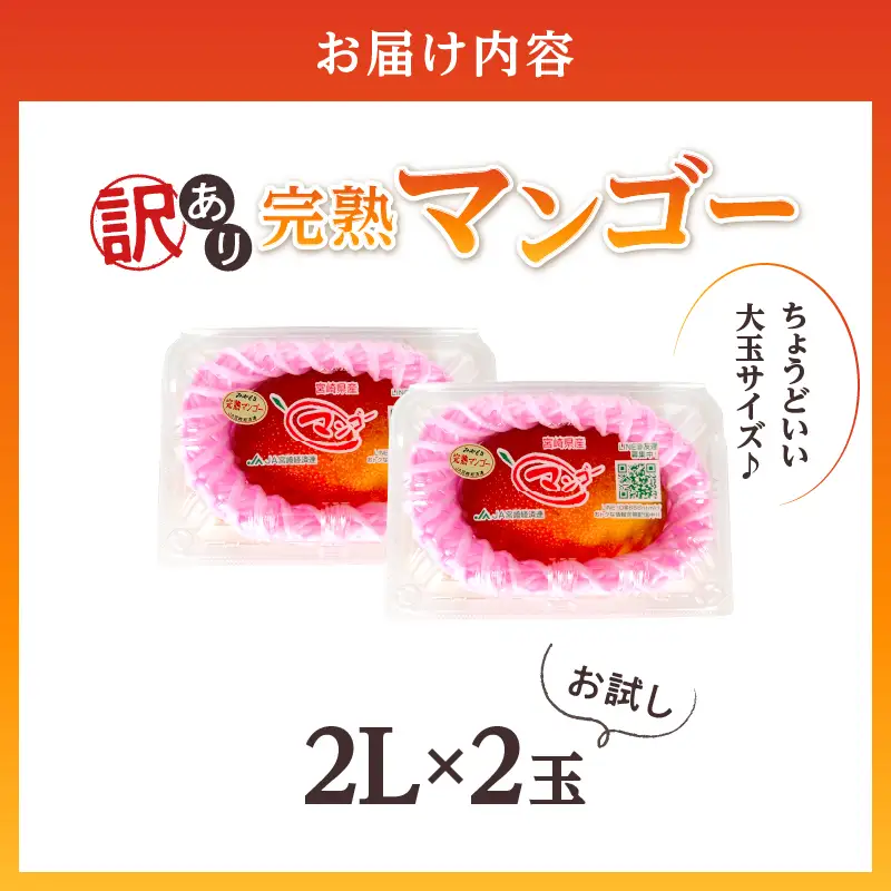【訳あり】完熟マンゴー 2L×2玉（パック）濃厚 宮崎 果物 フルーツ 贈答 ギフト 甘い 先行受付 送料無料【JA綾町】_A0114-1101