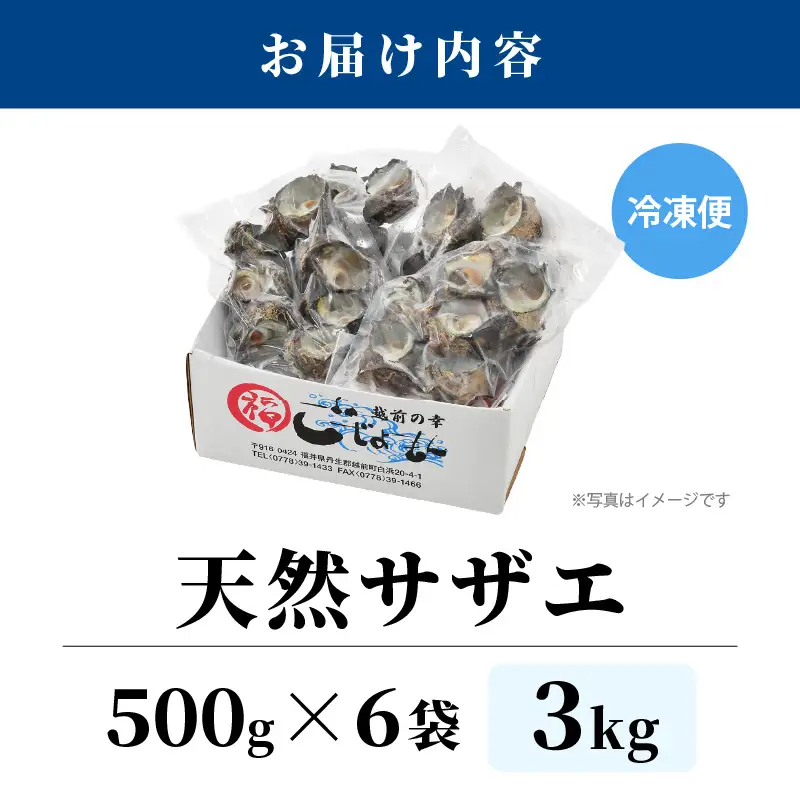 【先行予約】越前町産 天然 サザエ 3kg （500g×6袋）【2026年6月中旬より順次発送】【サザエ 海鮮】 [e15-b019]