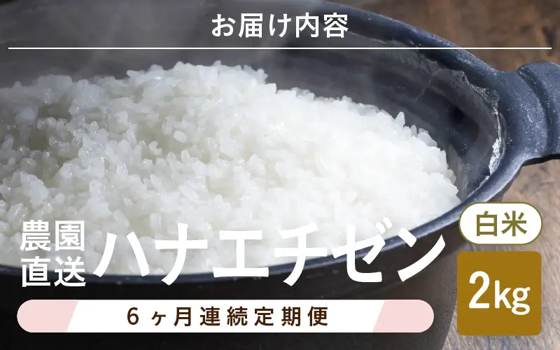 先行予約 定期便 6ヶ月連続お届け ハナエチゼン 2kg (1袋) × 6回 計12kg 白米 精米 ブランド米 2026年9月上旬以降順次発送予定 [B-8948]