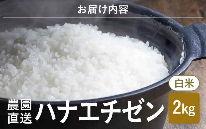 先行予約 ハナエチゼン 2kg (1袋) 白米 2026年9月上旬以降順次発送予定 [A-8988]