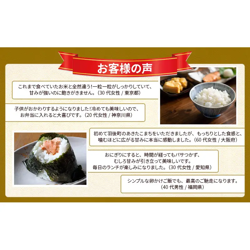 新米 先行予約［令和8年産］定期便 秋田県産 あきたこまち 20kg (5kg×4袋) 全12回 毎月お届け 羽後町産 [藤原商店]【米 お米 白米 精米 あきたこまち アキタコマチ 美味しい 秋田 羽後】