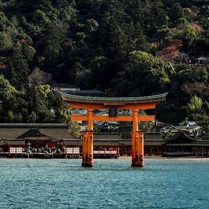 【藤い屋】もみじまんじゅう こしあん 10個入り｜饅頭 和菓子 贈答 広島