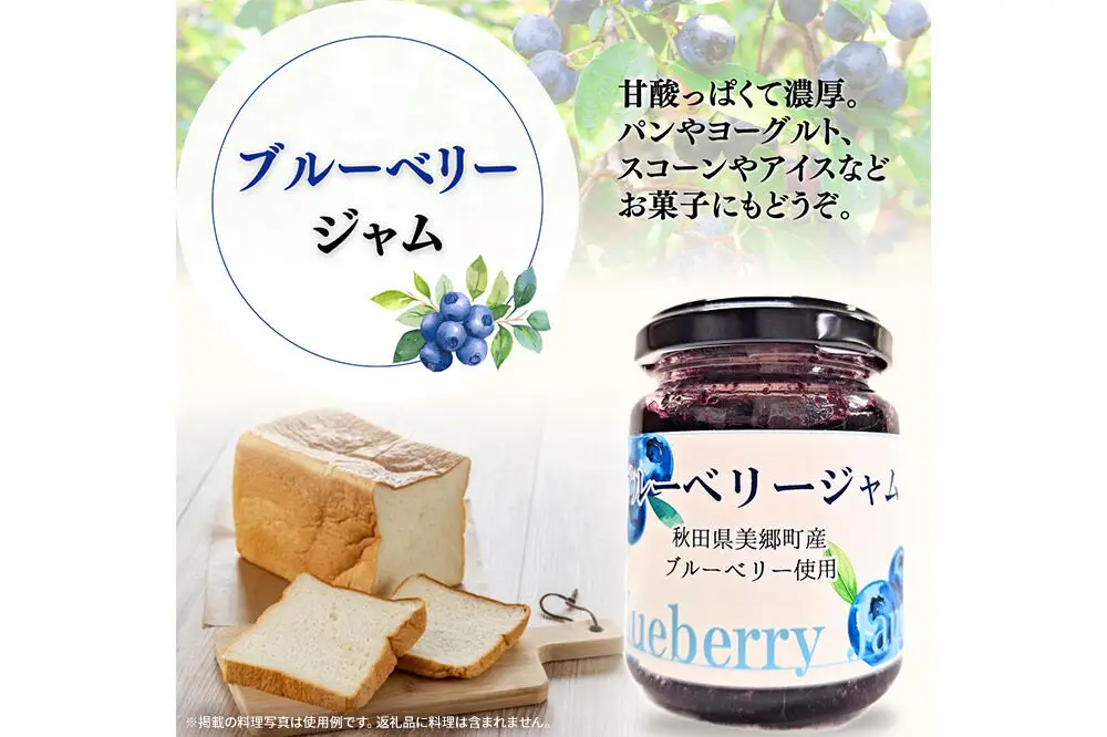 湧水の郷ブルーベリーセット 5点 （バルサミコ酢、ドレッシング、ジャム、ケチャップ、ブルーベリー塩）