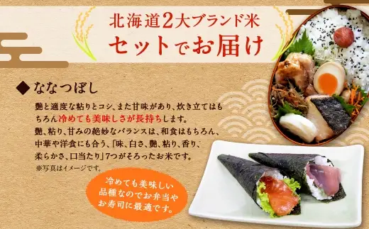 〈 令和8年産 〉 浦臼産 ななつぼし ゆめぴりか 精白米 各5kg （ 計10kg ） 食べ比べセット お米 米 こめ コメ 白米 白飯 飯 ご飯 おにぎり ブランド米 ブランド 国産 北海道産 和食 【 2026年10月下旬より順次発送 】