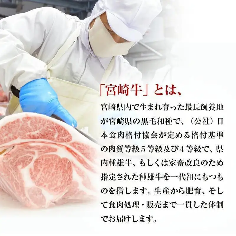 【お中元ギフト】宮崎牛＆宮崎県産豚肉 焼肉10種盛り 食べ比べセット計600g 宮崎牛4等級以上 国産牛 豚肉  ブランド牛 ミヤチク 内閣総理大臣賞4連覇＜47-3b＞●
