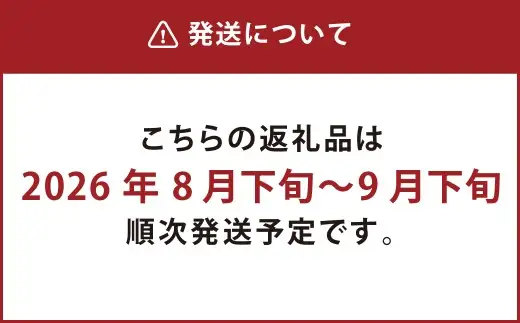 熊本市産 芳野梨 旬の品種 5kg なし ナシ 梨 果物 フルーツ 【2026年8月下旬～9月下旬迄発送予定】
