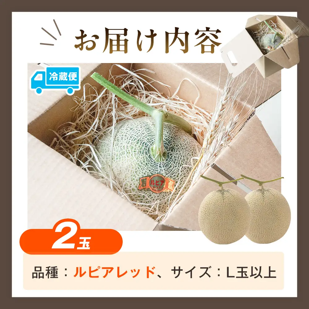【R8年収穫分】【数量限定】さのさん家のメロン（L玉以上）２玉 湧き水栽培 さの農場 | 北海道津別町
