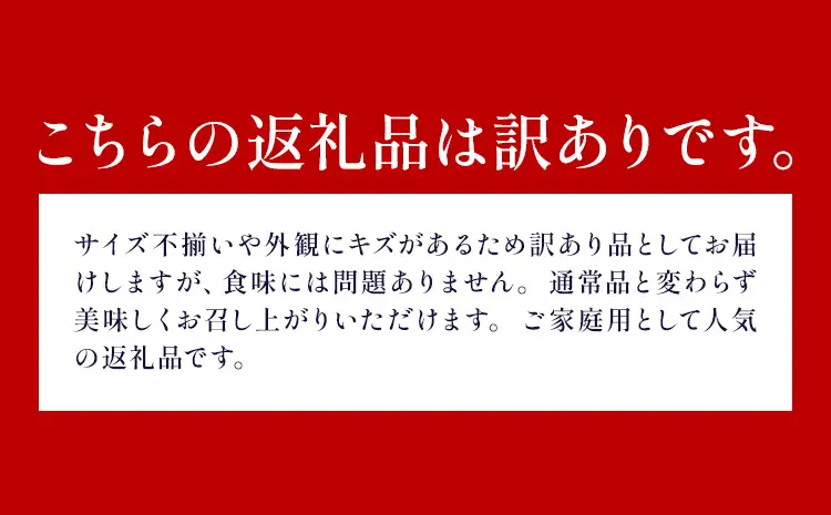 訳あり 温州みかん 約8kg 日本フルーツ株式会社 熊本県 荒尾市 《10月中旬-2月中旬頃出荷》 デコポン 果物 フルーツ スイーツ デザート