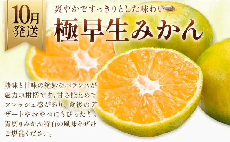旬の プレミアム フルーツ 定期便 3ヶ月連続 秀品 ミニ 計4.9㎏ 日本フルーツ株式会社《8月上旬-10月末頃出荷》熊本県 荒尾市 シャインマスカット おまかせ 梨 極早生みかん 果物 フルーツ スイーツ デザート ギフト ご贈答