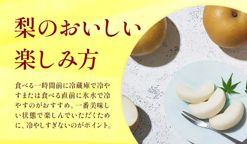 秋月梨 3㎏ 贈答用化粧箱（5～9玉） 日本フルーツ株式会社《9月上旬-9月末頃出荷予定》