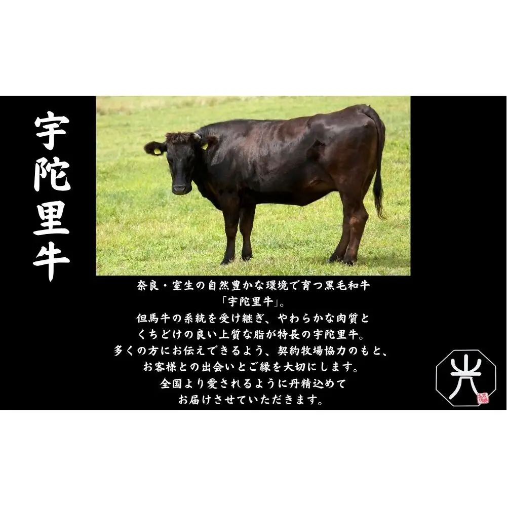 【市制20周年記念特別品】宇陀里牛サーロインステーキ 300g×2枚（計600g） ／国産 黒毛和牛 牛肉 ステーキ バーベキュー BBQ キャンプ 奈良県 宇陀市 光福久屋 ふるさと納税