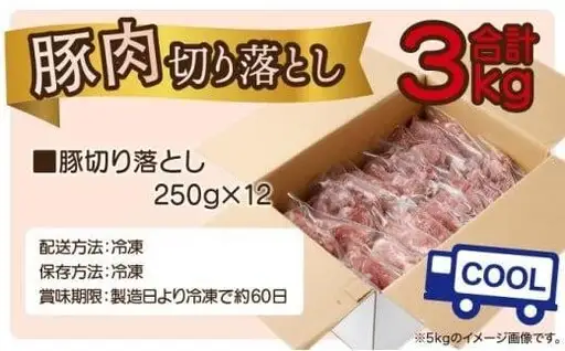 《2026年7月発送》豚肉切り落とし 250g×12パック 合計3kg_K033-024-2607