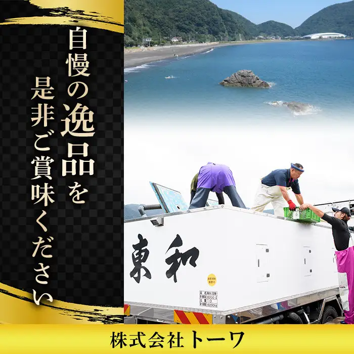 ＜ 期間限定 ＞ 大分 かぼすサーモン 切り身 (計6切) かぼす サーモン 魚 切身 無塩 冷凍 養殖 国産 個包装 大分県 佐伯市【EA33】【トーワ】