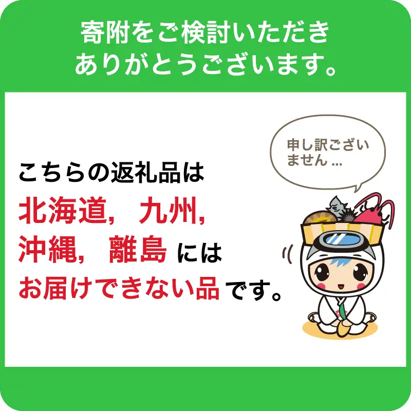 【南房総・道の駅よりお届け】完熟『房州びわ』　 2L以上　1箱（1kg以上）mi0125-0001