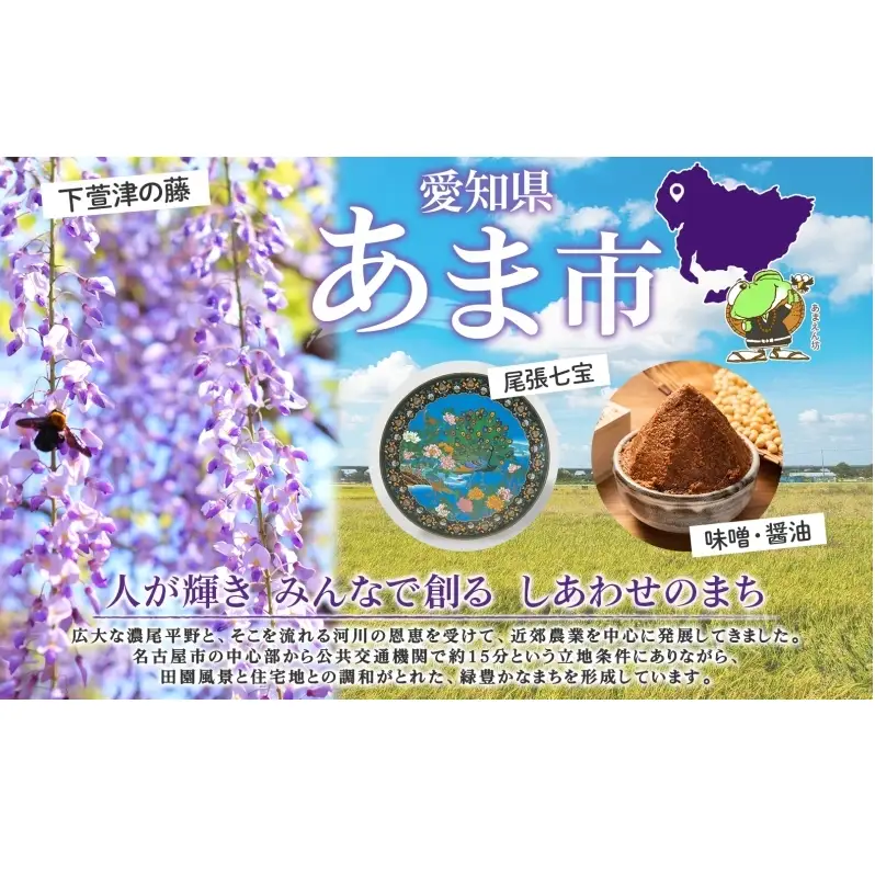 ダンボールトイレ すわれ～る 30回分 凝固剤 処理袋 防災士監修 組立不要 防災トイレ 簡易トイレ 非常用トイレ 携帯トイレ  ポータブルトイレ 防災 防災グッズ 防災用品 非常用 災害 備蓄 アウトドア 送料無料 ナテック 愛知県 あま市