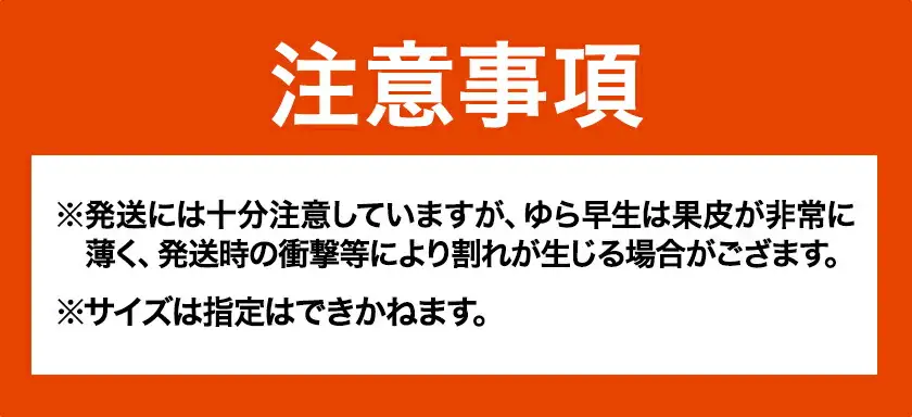 ゆら早生 みかん「ゆらっ子」 約5kg JA紀州産直店 さわやか日高（日高川町）みかん