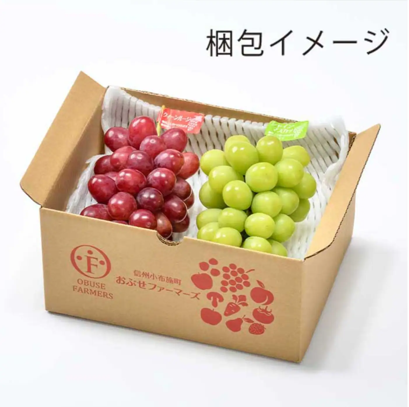 冬に食べるクイーンルージュ®＆シャインマスカット詰合せ 各1房 約1kg ［おぶせファーマーズ］ ぶどう セット 食べ比べ ２種 各 1房 葡萄 ブドウ 果物 フルーツ令和8年産 【2026年11月中旬～12月中旬発送】 [F-554]