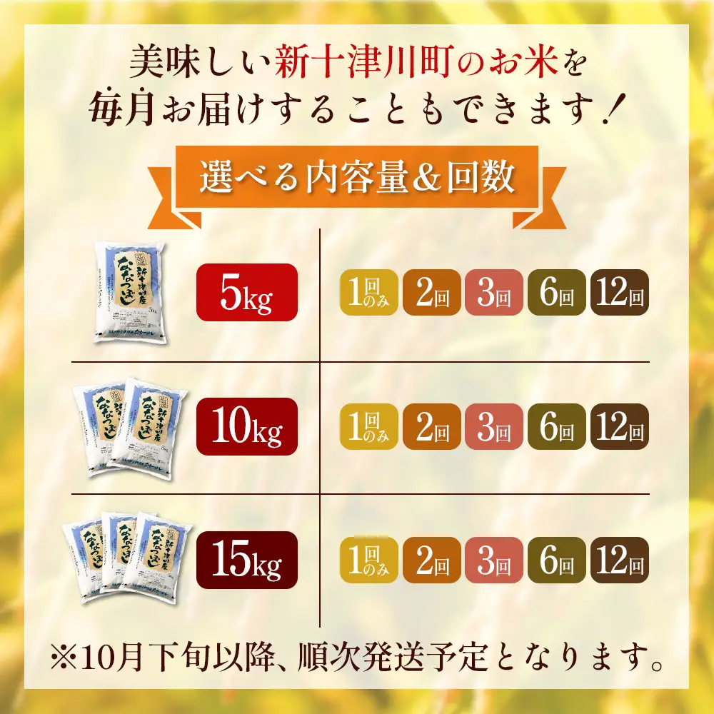 【令和8年度産】 食味ランキング「特A」ななつぼし精米定期便 (5kg×2回)【11020】