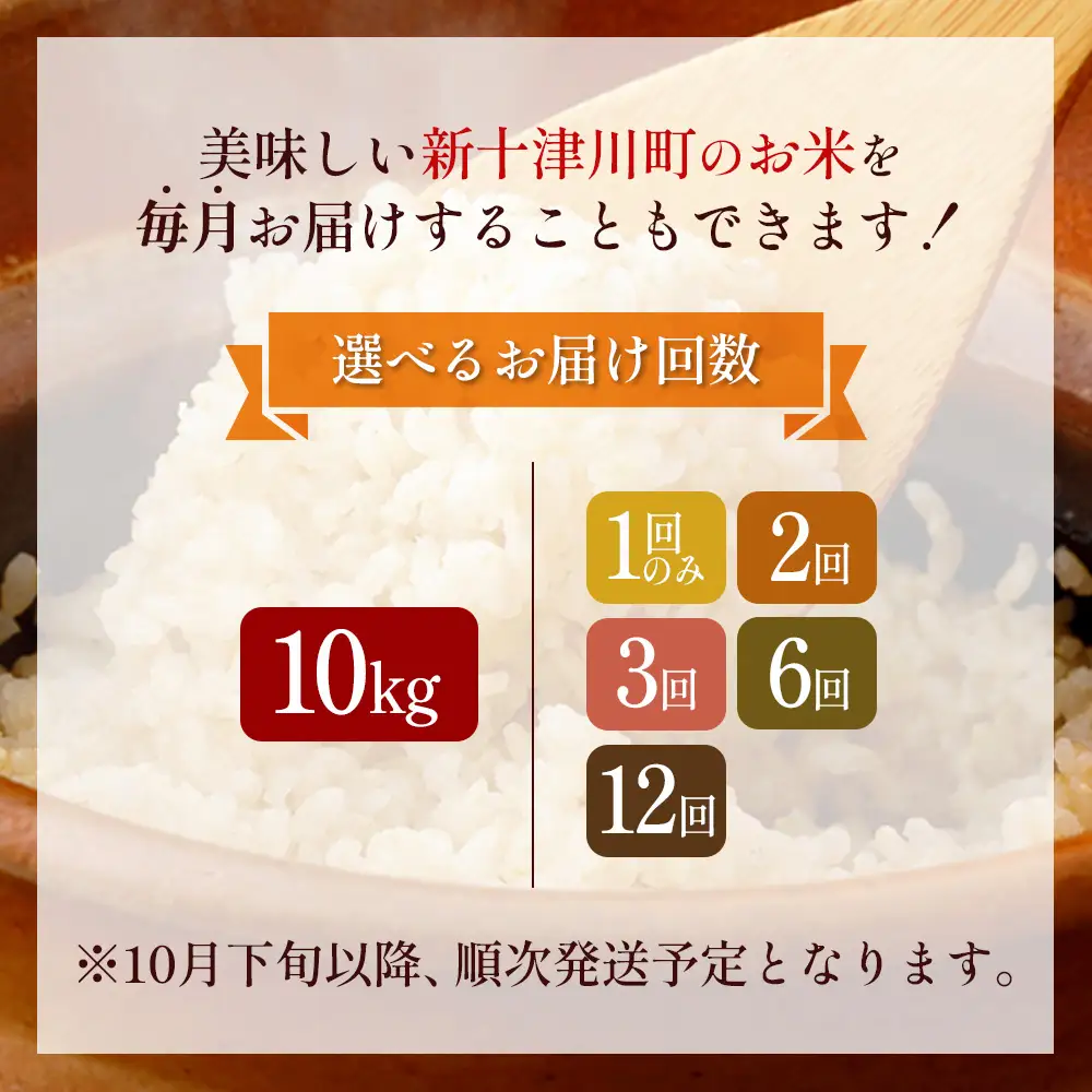 【令和8年度産】ふっくりんこ玄米定期便  (10kg×12回)【11050】