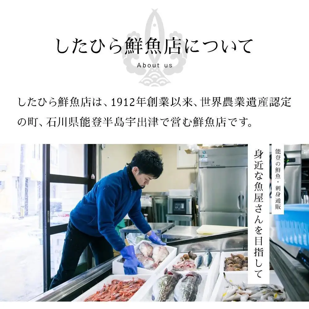 【7月お届け】【冷凍便】能登のお刺身盛り合わせセット（4人前）【復興支援】