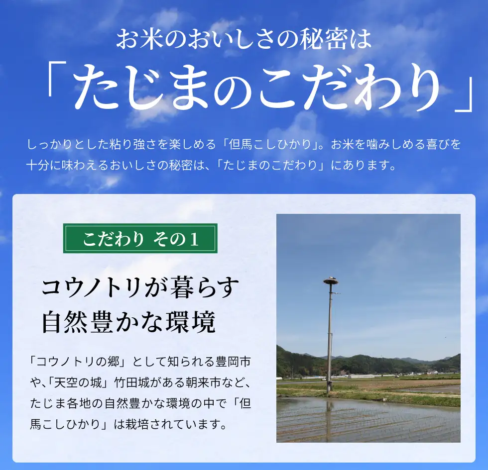 令和7年産 但馬産 コシヒカリ 特Aランク 10kg / 兵庫県産 こしひかり 産地直送 新鮮 お米 米 精米 白米 コメ こめ ご飯 ごはん ライス 送料無料 おにぎり お弁当 和食 洋食 コウノトリ羽ばたく会