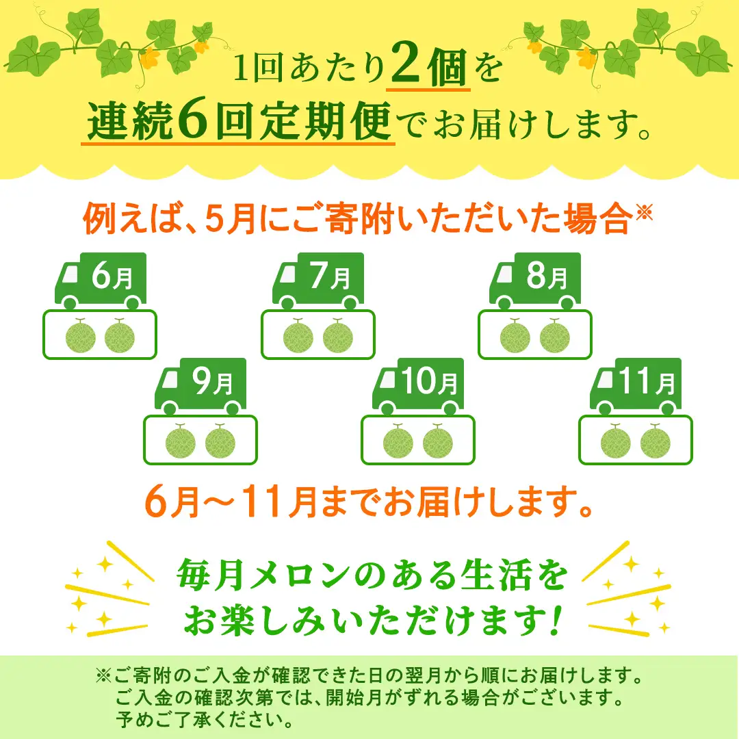 【定期便】 アールスメロン 2玉 × 6か月連続