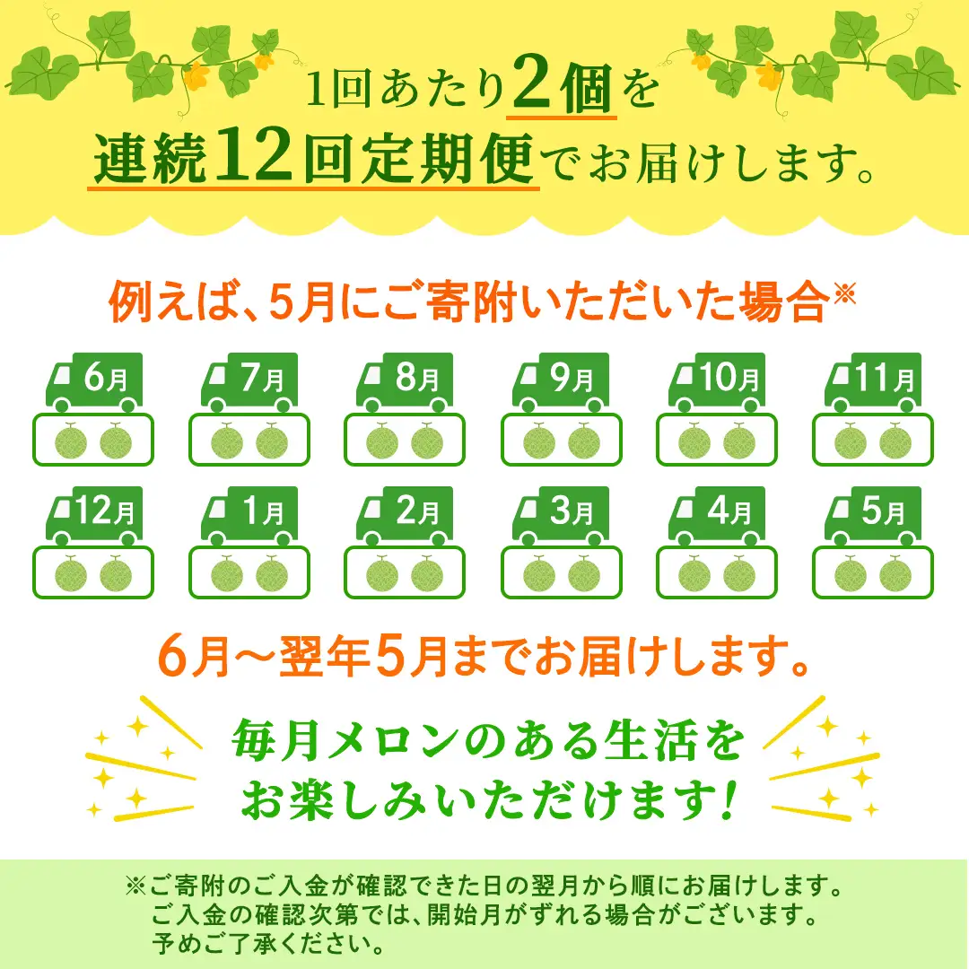 【定期便】 アールスメロン 2玉 × 12か月連続