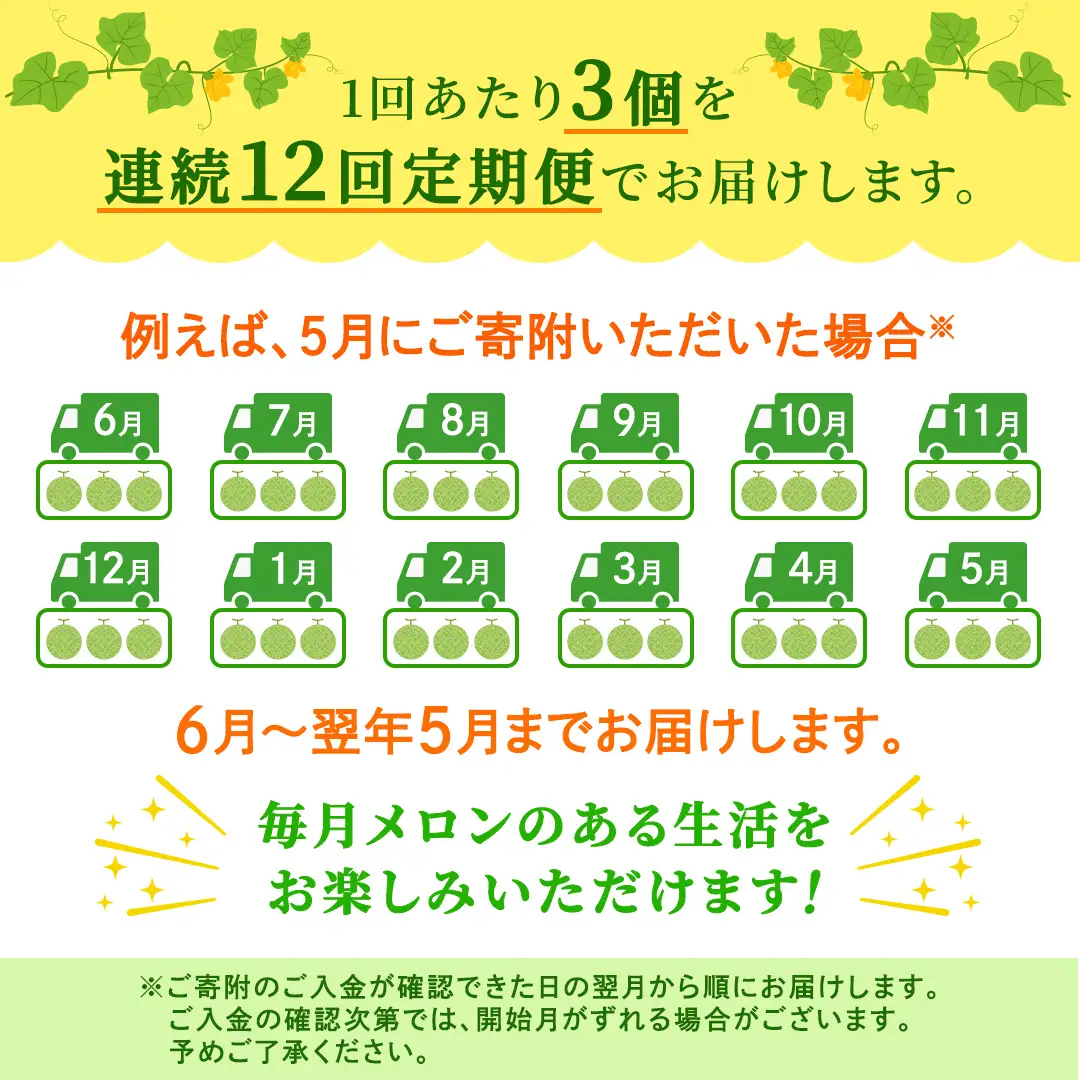 【定期便】 アールスメロン 3玉 × 12か月連続