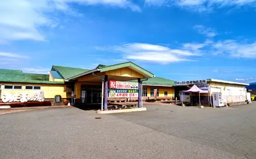 【 市川三郷町共通返礼品 ・ 夜景100選 ・ 温泉総選挙 絶景部門４年連続１位 】 みたまの湯温泉ペアチケット 眺望 泉質 アルカリ性 茶褐色 有機物 効能 疲労回復 温浴施設 観光 温泉 旅行 旅 夜景 チケット