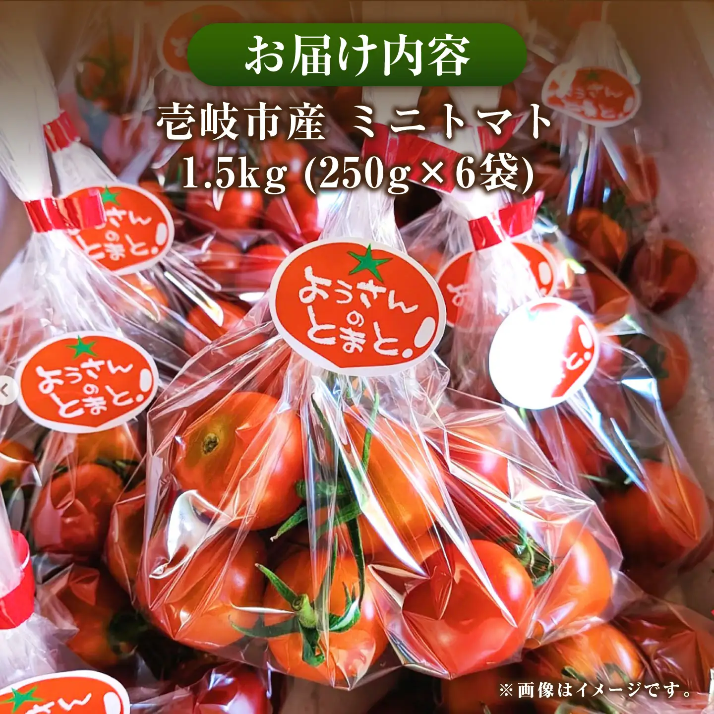 【先行予約】完熟ミニトマト 1.5kg [JHC001] トマト 野菜