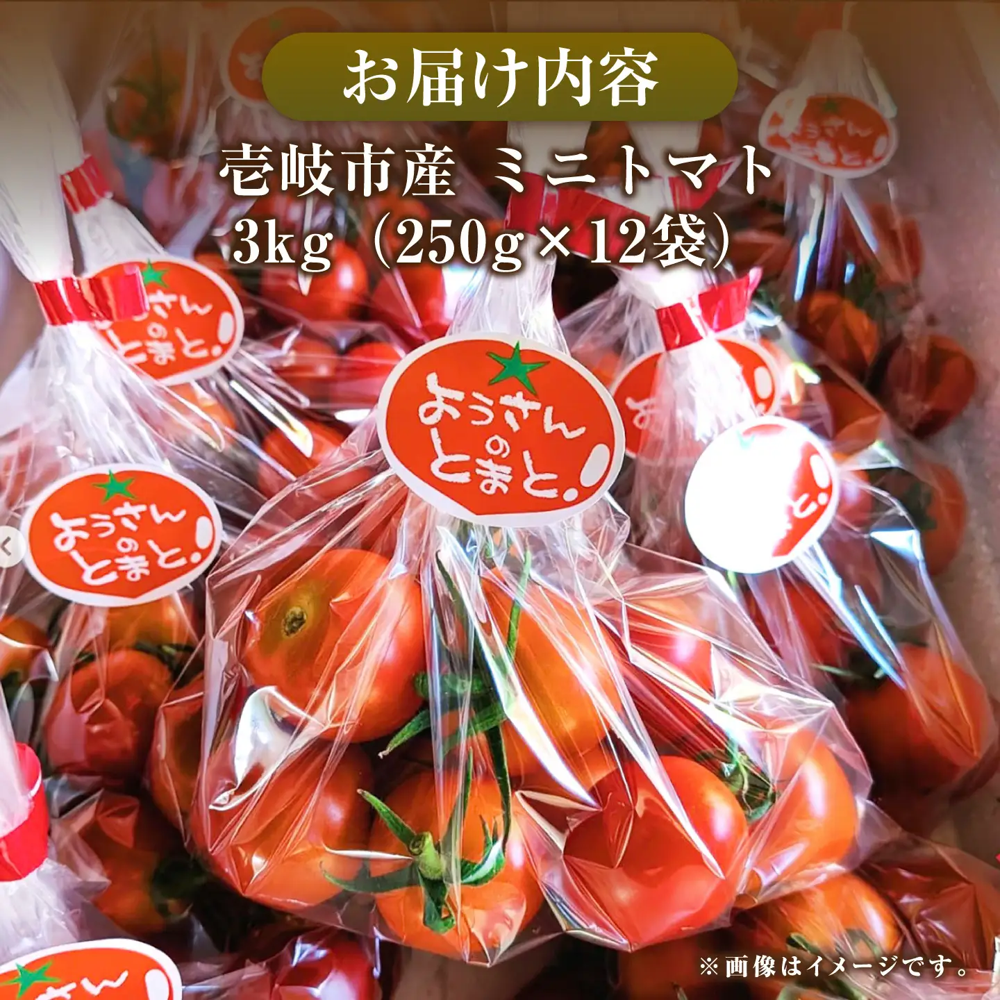 【先行予約】完熟ミニトマト 3kg [JHC002] トマト 野菜