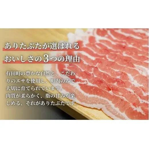 【計1kg！真空個包装で便利】ありたぶた ロース 厚切り とんかつ用 100g×10パック 1kg【有田まちづくり公社】豚 ぶた 豚肉 ロース肉 トンテキ ステーキ 小分け 真空 パック 佐賀県産 有田町産 ブランド豚 N12-19