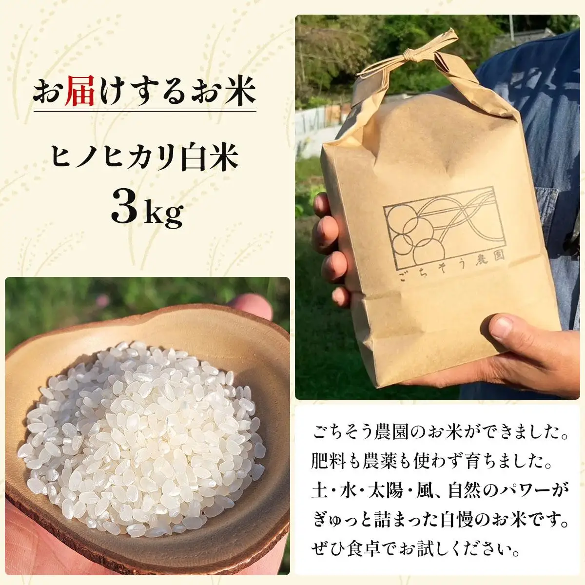 農薬・除草剤・肥料不使用 自然栽培米 令和7年度産ヒノヒカリ 白米 3kg