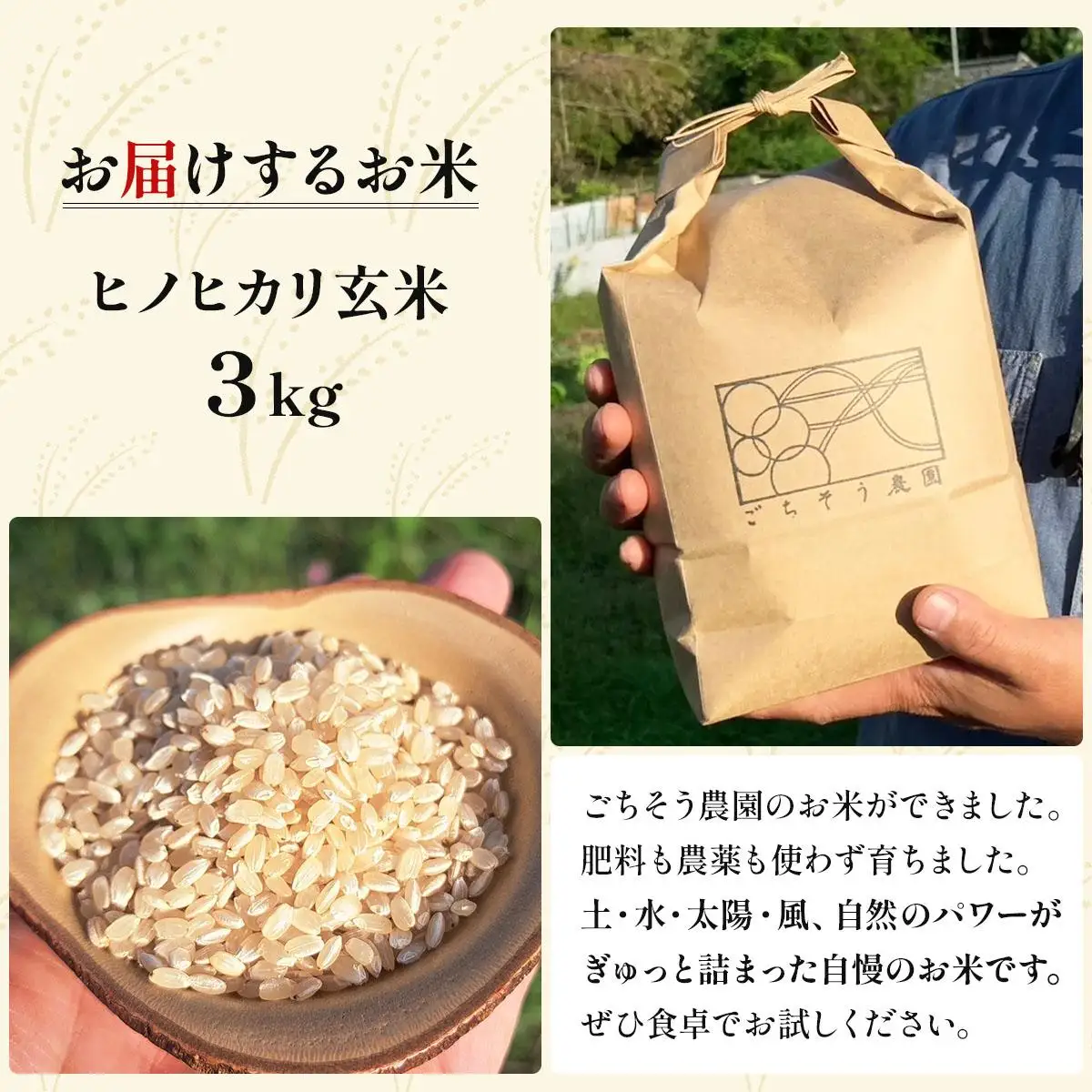 農薬・除草剤・肥料不使用 自然栽培米 令和7年度産ヒノヒカリ 玄米 3kg