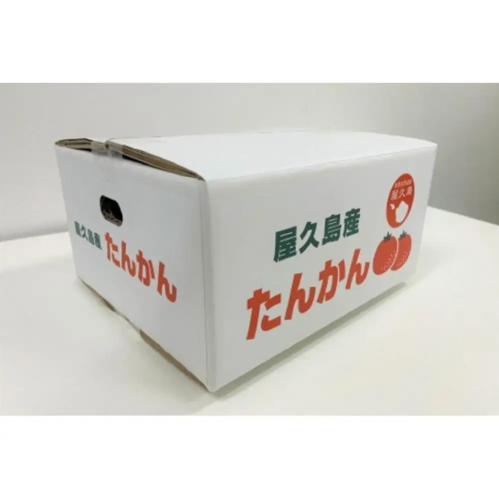 ＜先行予約／数量限定＞屋久島産たんかん 自家用(訳あり品) 約3kg(S～2Lサイズ・少々キズあり)【2027年2月中旬以降お届け】