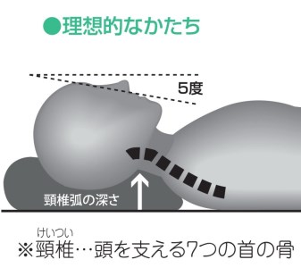 （エアウィーヴ グループ）ロフテー【２号】「5セルピロー エラスティックパイプ」（103-13）