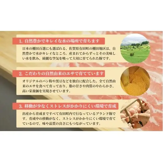 【人気！ありたぶた6種】ありたぶた 6種 Aセット 【有田まちづくり公社】豚 ぶた 豚肉 ロース 薄切り スライス 厚切り ステーキ ハンバーグ ウインナー ソーセージ セット 小分け 真空 パック 佐賀県産 有田町産 ブランド豚 N16-8