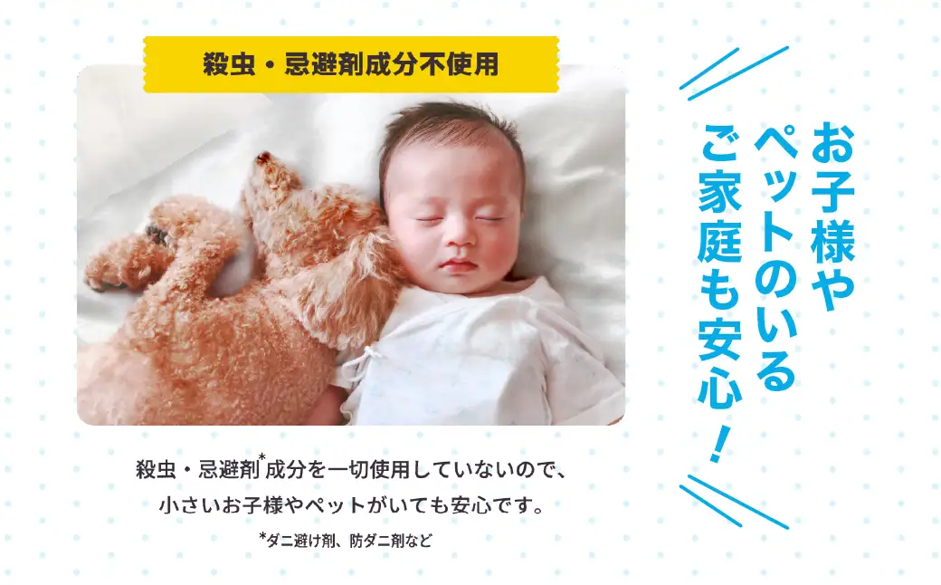 【本家の品質】コロコロ ダニ対策 ニトムズ スペアテープ コロコロダニクリーナー (2巻)×5（計10本） 粘着クリーナー ダニクリーナー カーペット 布団 寝具 掃除 コロコロクリーナー 猫 犬 ペット用品 掃除 日用品 愛知県 豊橋市