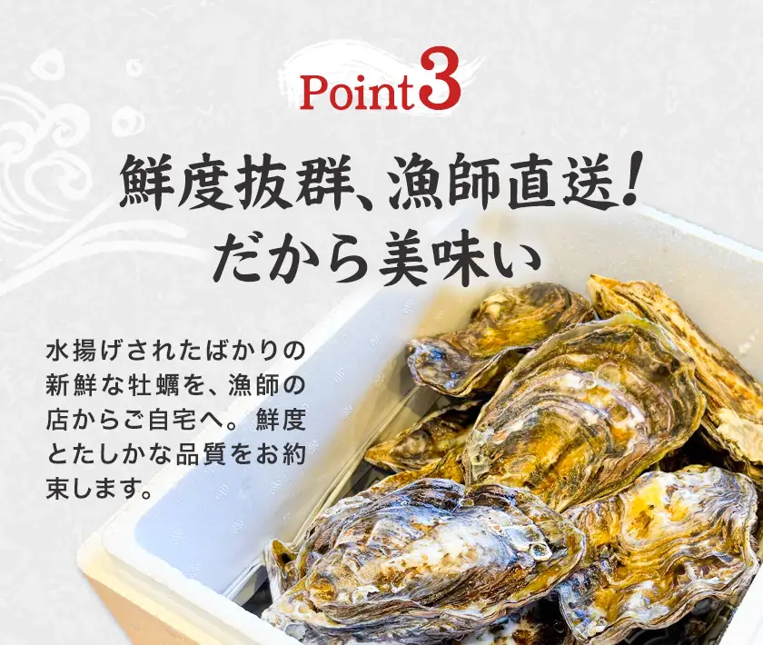 笠岡産 牡蠣 TAKIOKAプレミアム カルチ式 (加熱用) 3kg 牡蠣