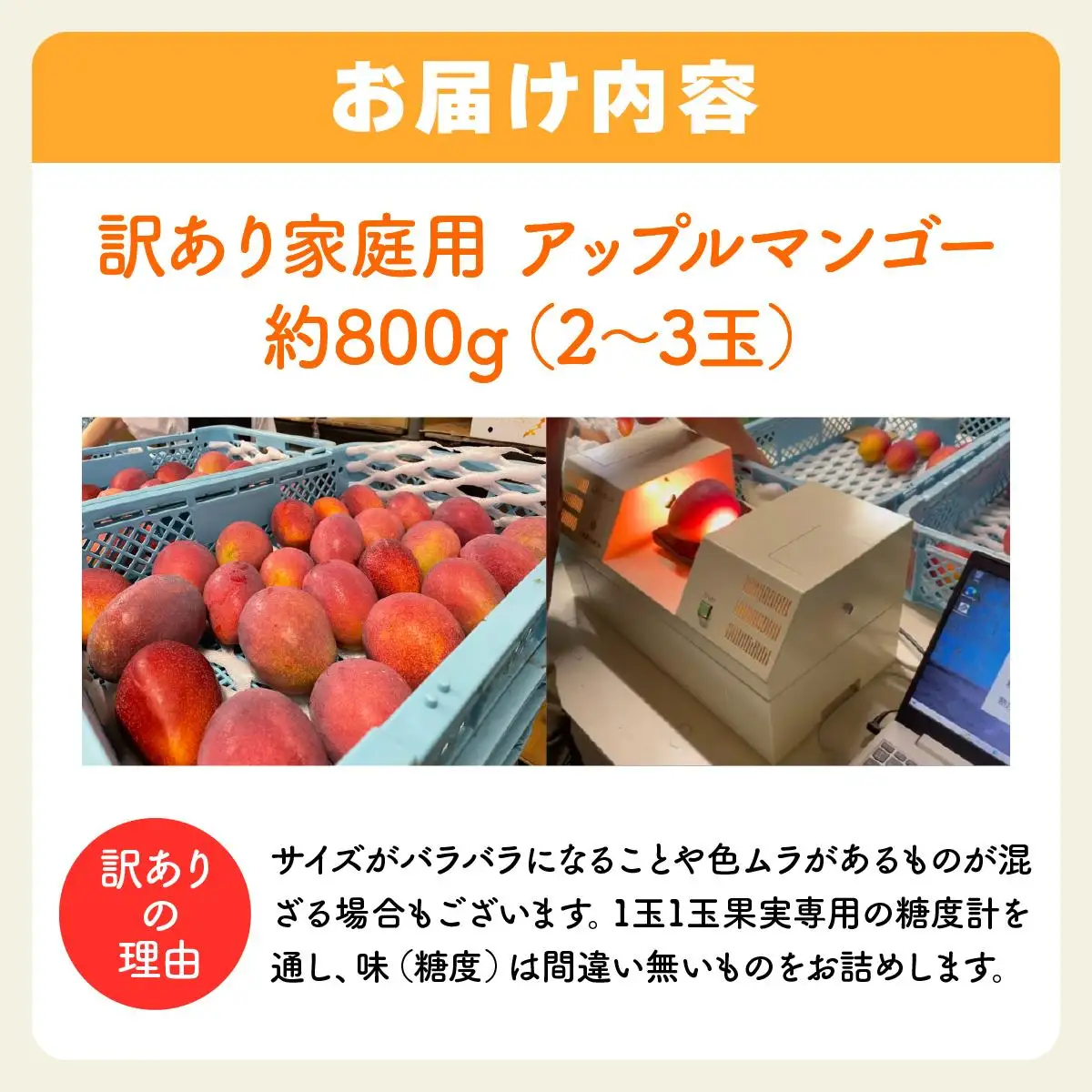 2026年 訳あり／家庭用　アップルマンゴー 約800g