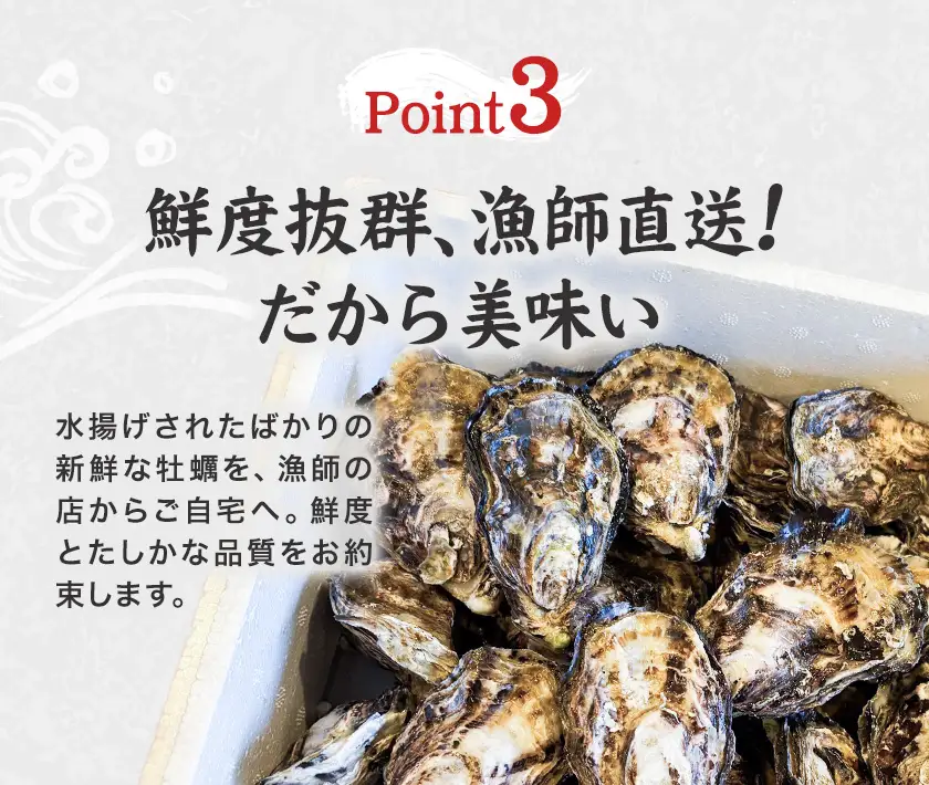 笠岡産 牡蠣 TAKIOKAプレミアム 三倍体 (加熱用) 30個 牡蠣