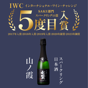 日本酒 七賢 飲み比べ小容量 セット12本 [h044]