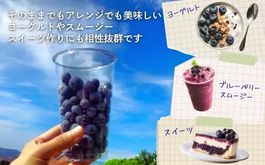 【2026年6月中旬～順次発送】国産 生ブルーベリー 500g (125g×4パック)品種おまかせ